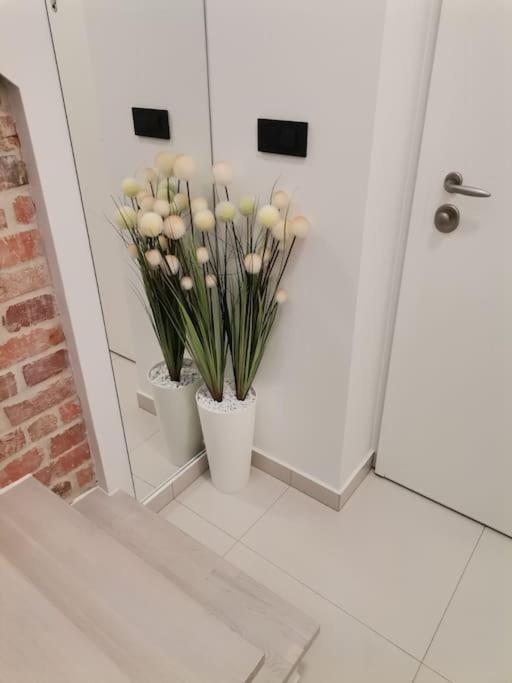 Studio Apartman Lenox Rijeka Zewnętrze zdjęcie